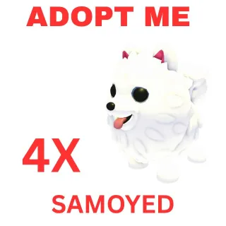 4X SAMOYED