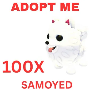 100X SAMOYED