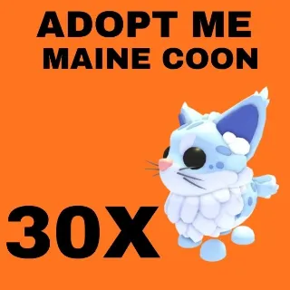 MAINE COON 30X - ADOPT ME 