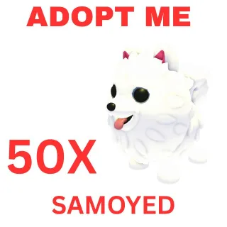 50X SAMOYED