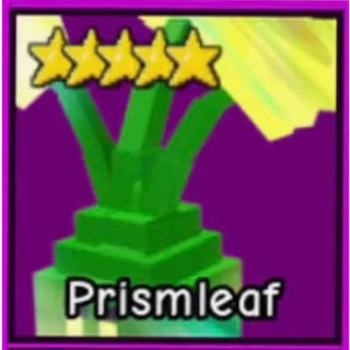 Prismleaf