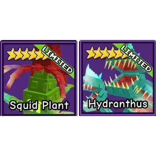 Squid Plant + Hydranthus