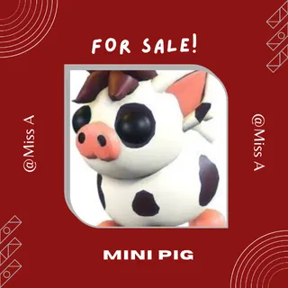 FR MINI PIG