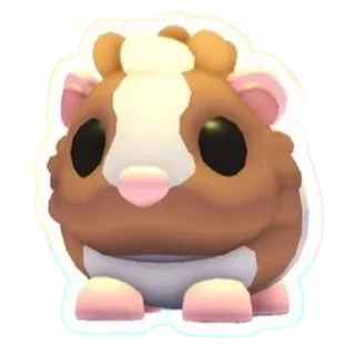 10X CHOCOLATE DUTCH GUINEA PIG