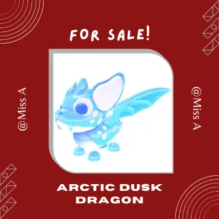2X ARCTIC DUSK DRAGON