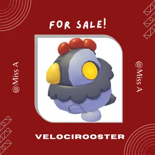 VELOCIROOSTER