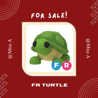 3X FR TURTLE