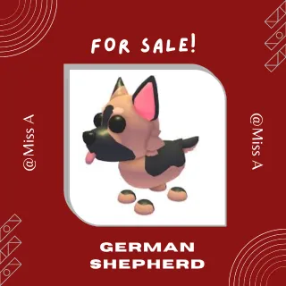 10X GERMAN SHEPHERD
