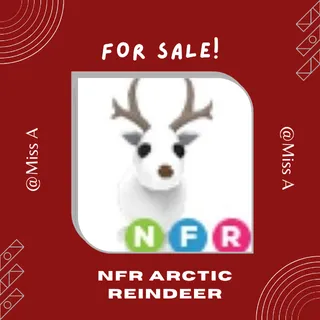 NFR ARCTIC REINDEER