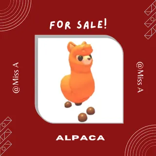 NFR ALPACA