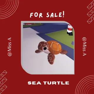 4X SEA TURTLE