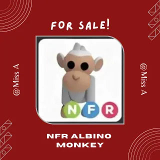 NFR ALBINO MONKEY