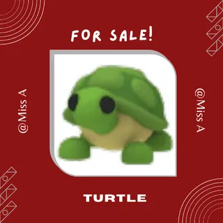 5X TURTLE