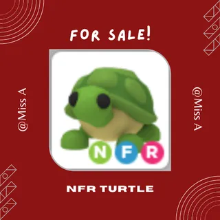 NFR TURTLE