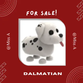 NFR DALMATIAN
