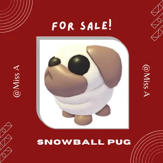 10X SNOWBALL PUG