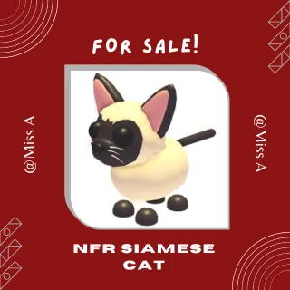 NFR SIAMESE CAT
