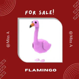 NFR FLAMINGO