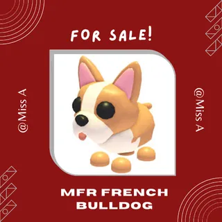 MFR FRENCH BULLDOG