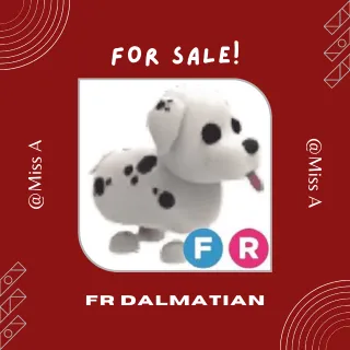 2X FR DALMATIAN