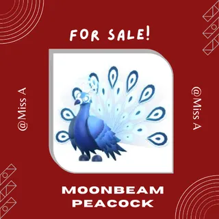 NEON MOONBEAM PEACOCK