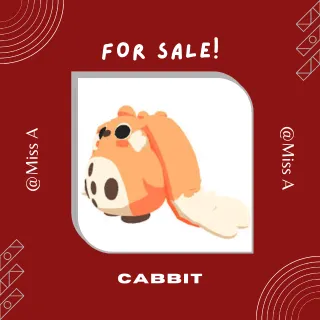 CABBIT