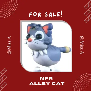 NFR ALLEY CAT
