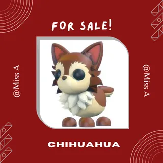 MFR CHIHUAHUA