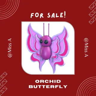 ORCHID BUTTERFLY