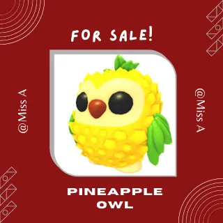 4X PINEAPPLE OWL
