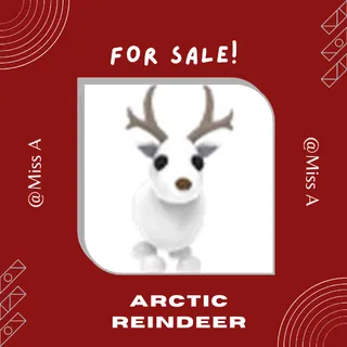 MFR ARTIC REINDEER