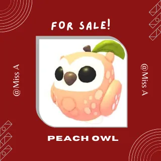 4X PEACH OWL