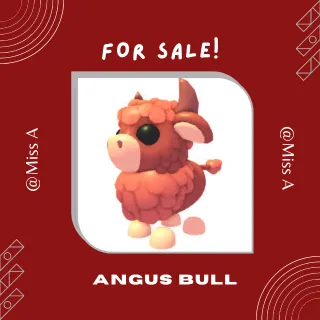 10X ANGUS BULL