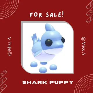 12X SHARK PUPPY