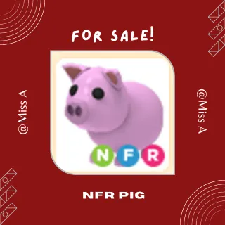 2X NFR PIG