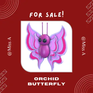 ORCHID BUTTERFLY