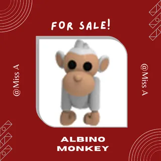 FR ALBINO MONKEY