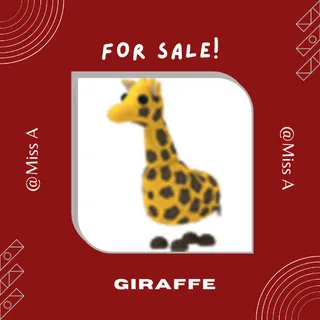 FR GIRAFFE