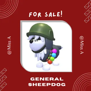 25X GENERAL SHEEPDOG