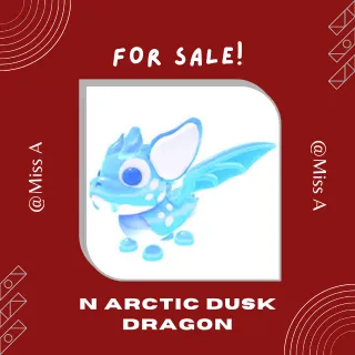 N ARCTIC DUSK DRAGON