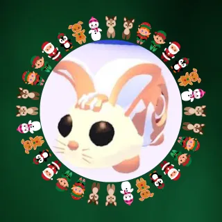 NFR/NEON BUNNY SWIRL