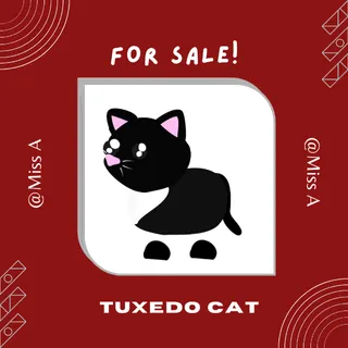 6X TUXEDO CAT