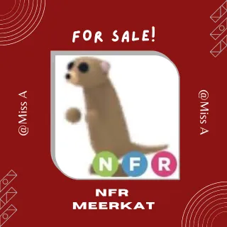 NFR MEERKAT