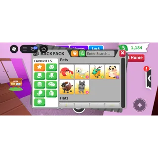 Pet bundle 6x