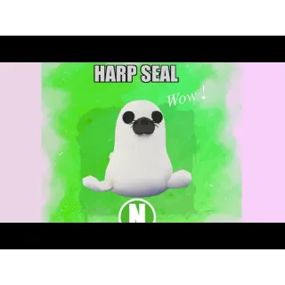 NEON HARP SEAL