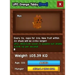 Collosal Tabby 105kg