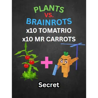 PLANTS VS BRAINROTS