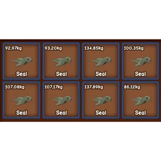 x8 50% Seal Set Bundle