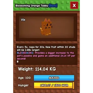 Rare kg Rare Mutation Orange Tabby perfect for Collection