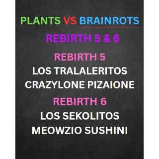 PLANTS VS BRAINROT